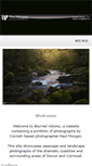 Mobile Screenshot of blurredvisionz.com